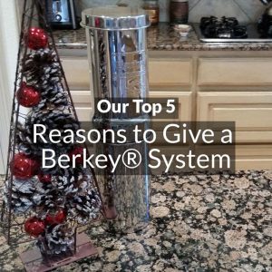 Top 5 Reasons to Give a Berkey System